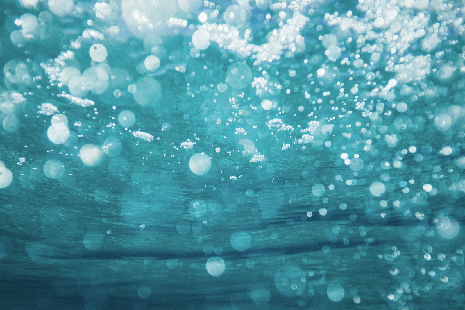 Best Microplastics In Water, Ranked