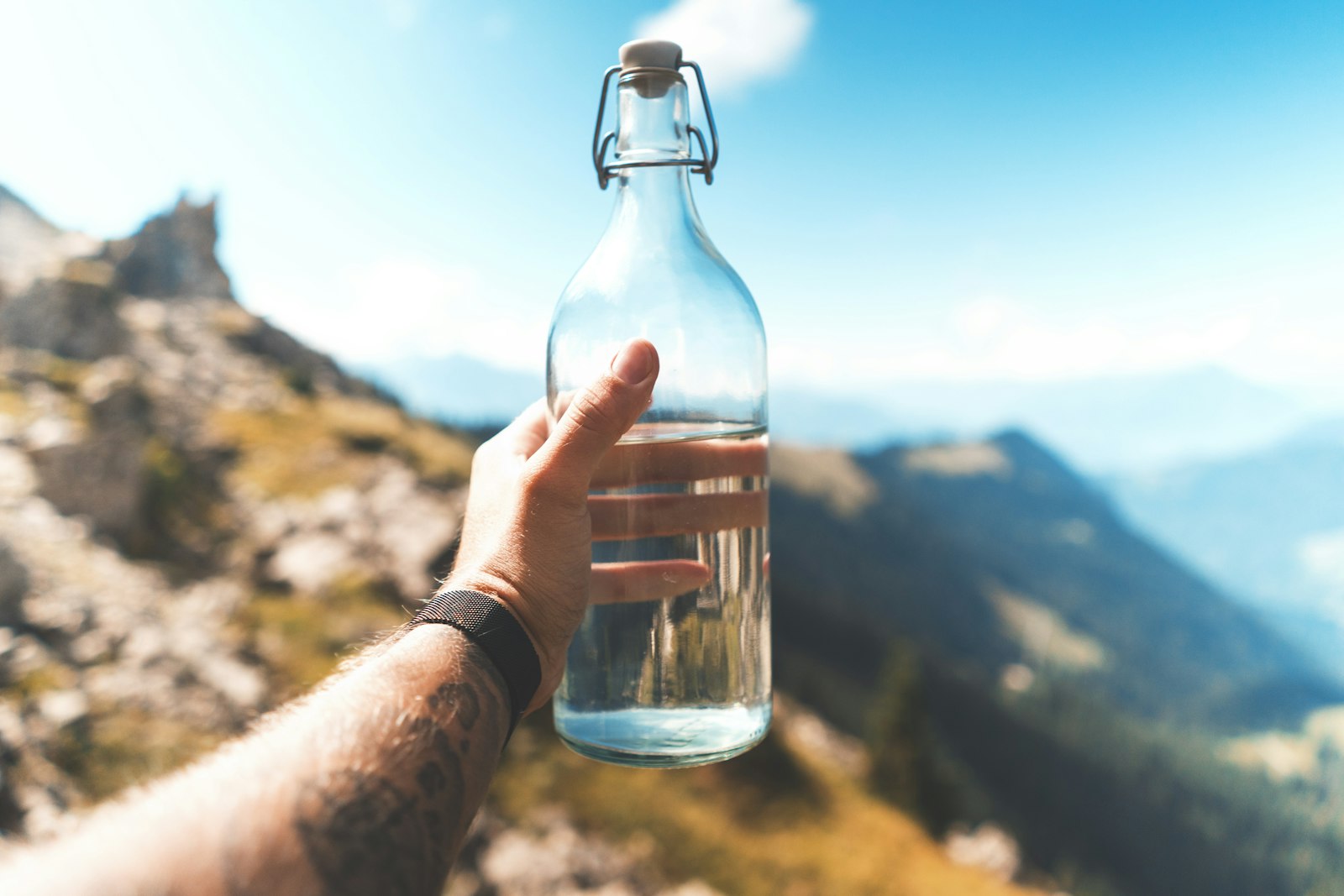 Best Remineralizing Water, Ranked