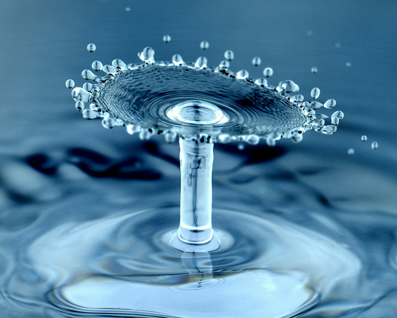 Best Spring Vs Purified Water, Ranked