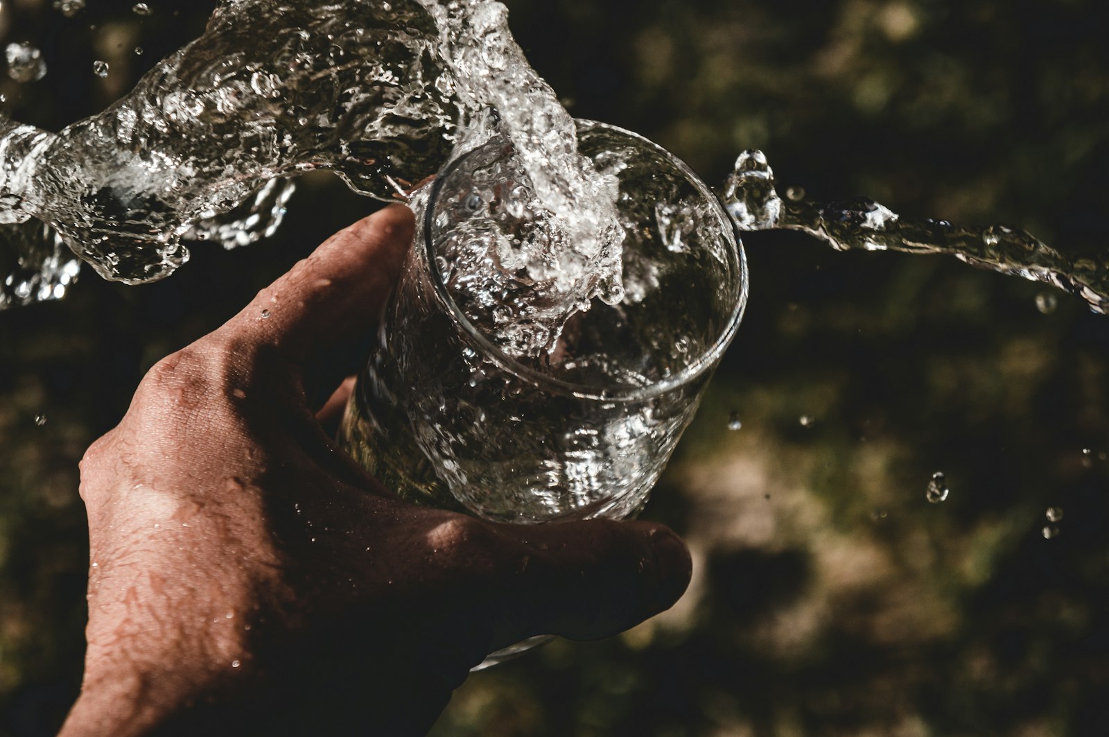 Best Structured Water Claims, Ranked